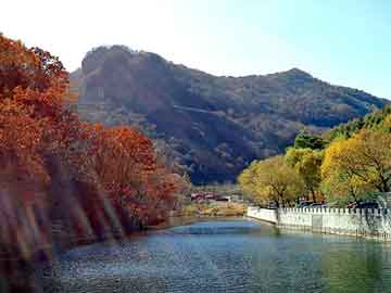 新澳天天开奖资料大全旅游团，基德生命里的一切